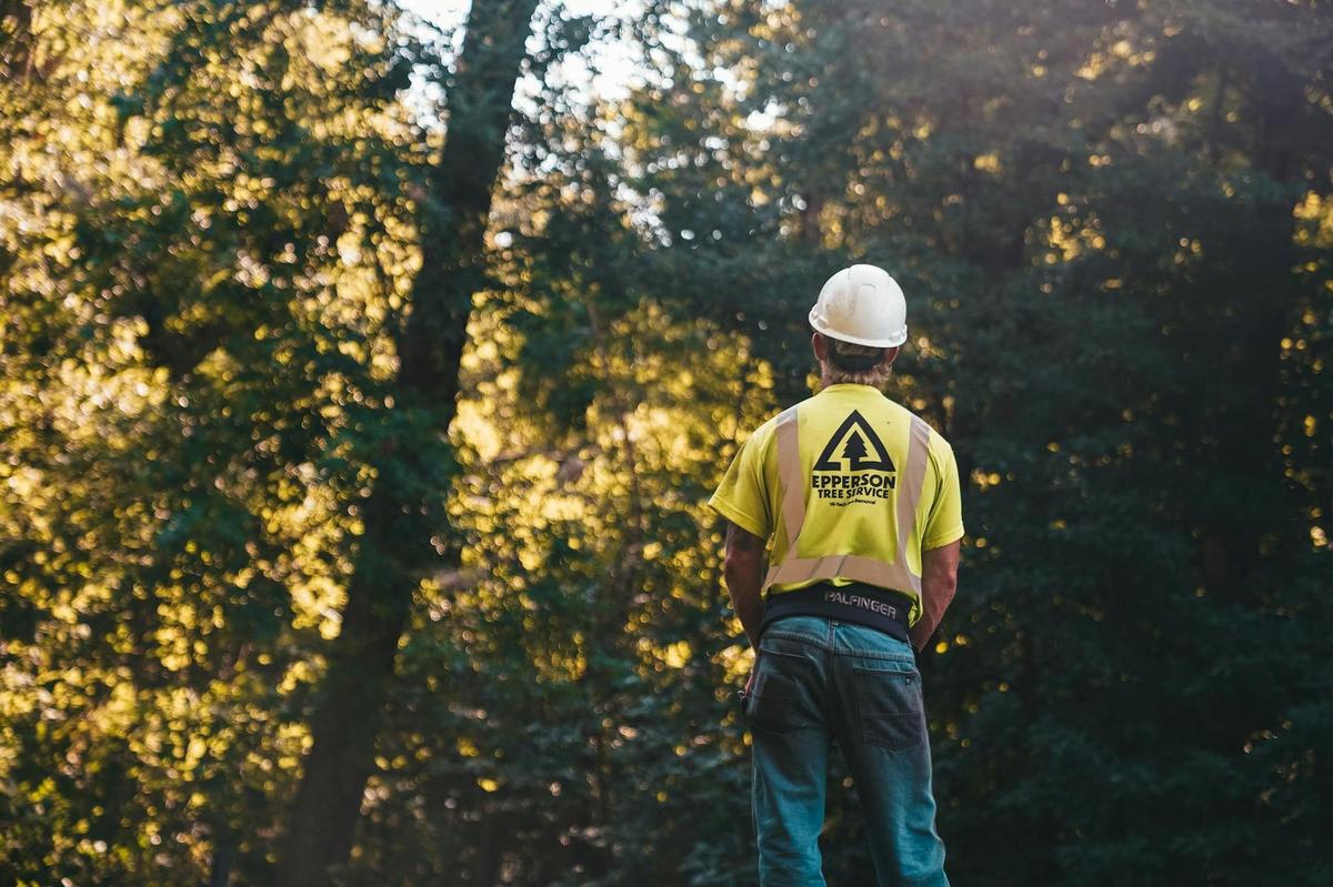 Best Tree Service Software for Contractors (2026)